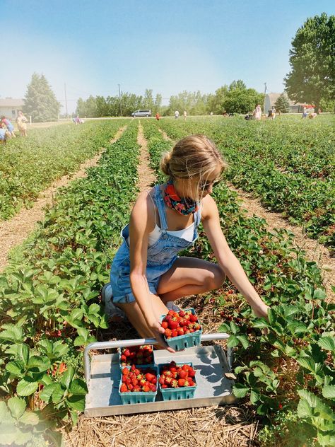 Strawberry Farm Photo Shoot, Strawberry Picking Photoshoot, Berry Picking Photoshoot, Strawberry Patch Photoshoot, Strawberry Field Photoshoot, Strawberry Farm Outfit, Fruit Picking Aesthetic, Fruit Picking Outfit, Berry Picking Outfit