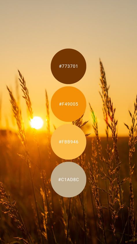 Warm golden yellow sunset hues are the perfect late summer palette. Try it in the kitchen, dining room, master / primary bedroom, or guest room. #colourpalette #colorpalette #colour #color #palette #gold #yellow #summer #warm #orange Yellow Orange Gold Color Palette, Milk And Honey Color Palette, Sunset Colors Bedroom, Orange And Gold Aesthetic, Autumn Sunset Color Palette, Sunrise Colour Palette, Warm Yellow Color Palette, Golden Yellow Color Palette, Yellow Color Palette Colour Schemes