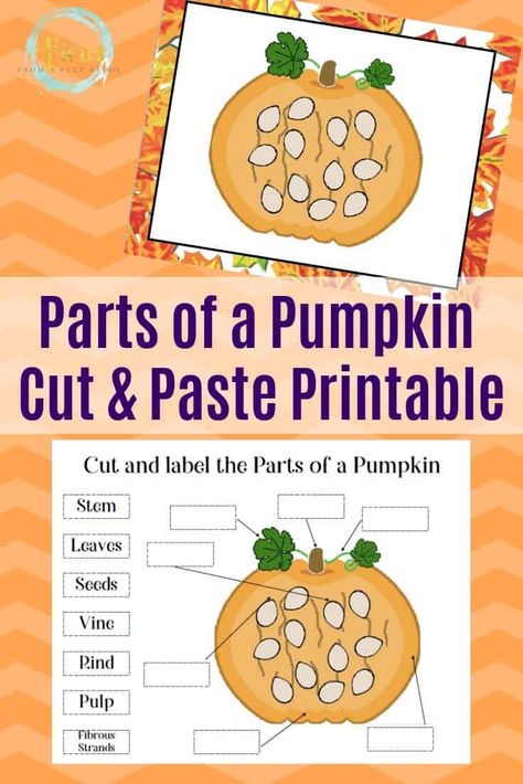 Printable List of 20 Activities for 1 Year Olds You Can Do Every Day! Pumpkin Worksheets, Pumpkin Parts, Gratitude Crafts, Pumpkin Story, Pumpkin Science, Parts Of A Pumpkin, Worksheet Kindergarten, Pumpkin Books, Spelling And Handwriting