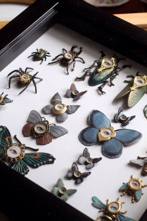 Insect Specimen, Mab Graves, Cabinet Of Curiosity, Insect Species, Cabinet Of Curiosities, Arte Sketchbook, Stick Pins, Weird And Wonderful, Shadow Boxes