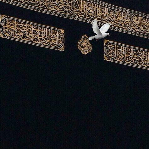 Dove near the Kaaba ❤️ Salat Prayer, Khana Kaba, Mekka Islam, Mecca Kaaba, Seni Arab, Masha Allah, Mosque Art, Masjid Al Haram, Mosque Architecture