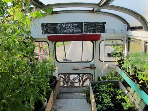 Mobile Home Greenhouse, School Bus Greenhouse, Mobile Greenhouse Trailer, Greenhouse Trailer, Bus Greenhouse, Mobile Greenhouse, Mobile Gardening, Rv Garden, Mobile Classroom