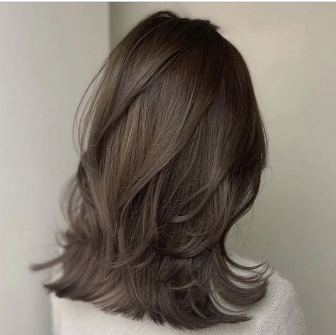 Curly Asian Hair, Brown Hair Inspiration, Rambut Brunette, Brown Hair Inspo, Hair Inspiration Long, Hairstyles For Layered Hair, Haircuts For Medium Hair, Haircuts Straight Hair, Hair Inspo Color