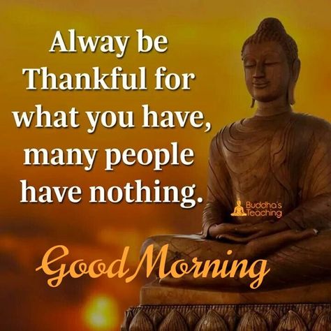 Good Morning Quotes Buddha, Quotes Buddha, Gm Images, Happy Good Morning Images, Meditation Buddha, Lovely Good Morning Images, Morning Sweetheart, Good Morning Spiritual Quotes, Good Morning Sunshine Quotes