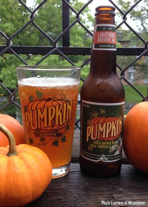 It's time to enjoy some delicious seasonal fall beers from Wisconsin craft breweries--Here are 5 of our favorite fall beers and ciders! Wheat Beer Recipe, Autumn Board, Fall Beers, Brewery Design, Pumpkin Ale, Pumpkin Dishes, Pumpkin Photos, Wheat Beer, Fall Mood