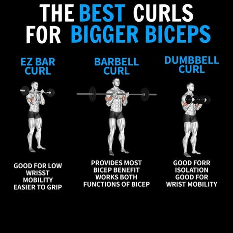 Curl Bar Workout For Men, Strength Workout Plan, Barbell Curls, Arm Workout Men, Big Biceps Workout, Bigger Biceps, Weight Training Plan, Bicep And Tricep Workout, Strength And Conditioning Workouts