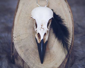 Crow Skull Mens Western Wear, Crow Skull, Animal Skull, Air Dry Clay Projects, Raven Skull, Necklace Resin, Bird Skull, Hair Slide, Skull Necklace