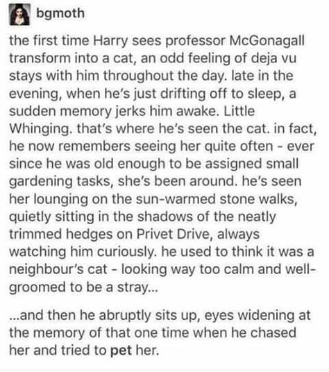 Harry Potter Harry Potter Minerva Mcgonagall, Harry Potter Humor, Moaning Myrtle, Minerva Mcgonagall, Yer A Wizard Harry, Harry Potter Headcannons, Harry Potter Fanfiction, Fandom Crossover, Harry Potter Love