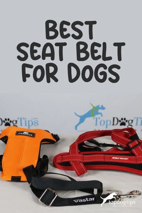 Whether your pooch always rides shotgun or only goes in the vehicle when he has an appointment, having the best seat belt for dogs is a must, all for the safety of your dog and anybody else inside the car. Dog Safety In Car, Small Dog Car Seat, Dog Car Travel, Dog Car Harness, Dog Car Safety, Dog Hammock For Car, Dog Car Seat Belt, Best Small Dogs, Car Harness