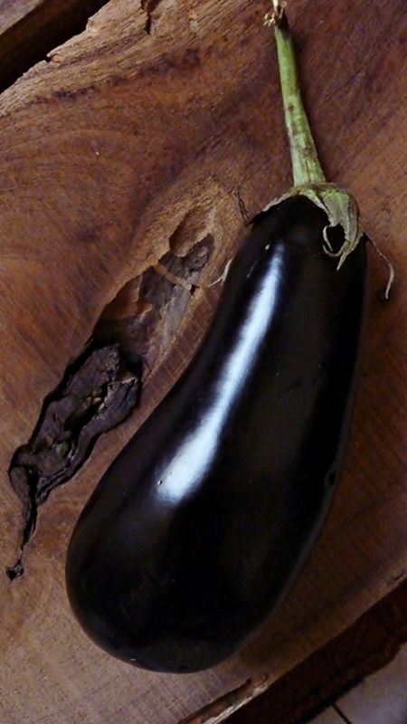 Photo by Khadeejah Raja Eggplant Art, Spiced Vegetables, Egg Plant, Plant Photos, Nature's Bounty, Fresh Vegetables, Food For Thought, Food Styling, Fresh Food