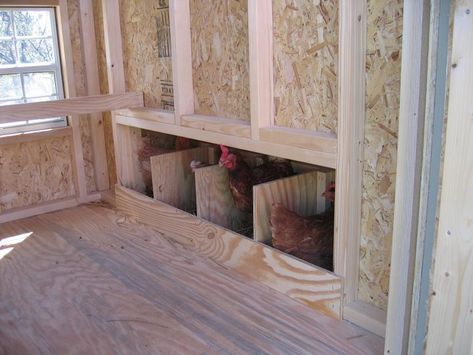 Gambrel Barn Chicken Coop – Chicken Huggers 6 Chicken Coop, House With Ramp, Chicken Nests, Chicken Coop Kit, City Chicken, Gambrel Barn, Chicken Roost, Chicken Barn, Portable Chicken Coop