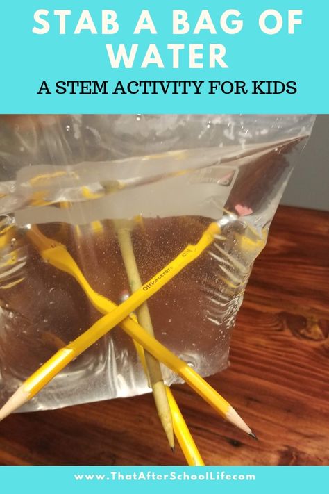 Wow kids with this fun water magic trick that uses supplies you already have on hand. This activity will have kids loving science and tapping into their inquisitive sides. Use a pencil to stab a bag of water without spilling a single drop! Challenge kids to see how many pencils they can stick through a bag of water.  Is it two, three, five, ten?! Scientific Method Experiments, Stem Activity For Kids, Polymer Science, Elementary Stem Activities, Water Magic, School Age Activities, Science Week, Science Experiments For Preschoolers, Stem Activity