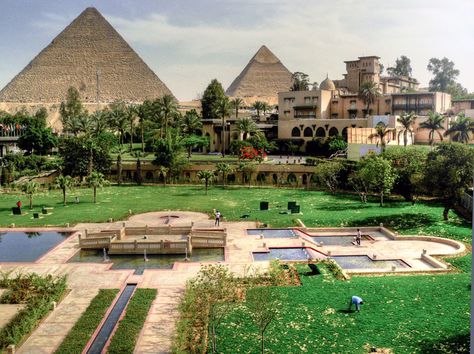 Cairo Hotel, Ancient Egyptian Architecture, Pyramids Egypt, Hotel Flowers, Romantic Cruise, Shady Tree, Visit Egypt, Pyramids Of Giza, Ancient Egyptian Art