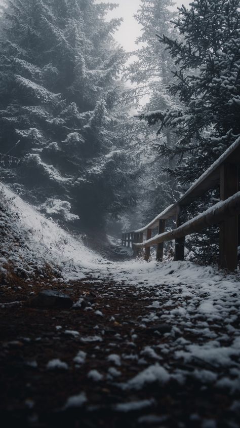 a path in the woods covered in snow photo – Free Switzerland Image on Unsplash Coldness Aesthetic, Winter Woods Wallpaper, Snow Forest Wallpaper, Dark Snow Aesthetic, Dark Winter Aesthetic, Cold Wallpaper, Snow Woods, Winter In The Woods, Winter Photography Nature