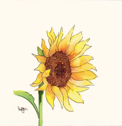 Sunflower Watercolor, Watercolor Sunflower, Watercolor Drawing, Sunflower, Acrylic Painting, Google Search, Art