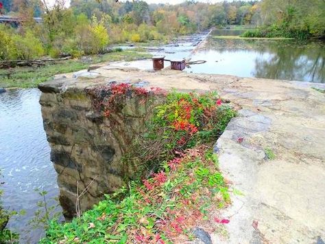 the dam - Pittsboro NC Pittsboro Nc, Candid Pictures, Vacation Pictures, Bird Bath, Picture Video, North Carolina, Trip Advisor, Golf Courses, Places To Go