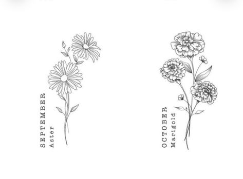 Tiny Aster Flower Tattoo, One Line Aster Flower, Astor Tattoos, Rose And Aster Flower Tattoo, Marigold And Aster Tattoo, Aster Birth Flower Tattoo, Aster And Marigold Flower Tattoo, Small Aster Flower Tattoo, Morning Glory And Aster Tattoo