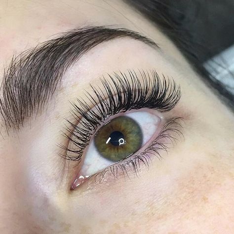 Major #lashgoals going on right now. These classic lashes are too perfect! @redlashstudio we you. Single Eyelash Extensions, Classic Eyelash Extensions, Eyelash Extensions Aftercare, Natural Fake Eyelashes, Eyelash Extension Training, Classic Lashes, Longer Lashes, Eyelash Extensions Styles, Perfect Eyelashes