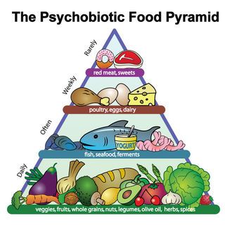 High Fiber Vegetables, Unhealthy Diet, Food Pyramid, Healthy Bacteria, Sugary Food, Beneficial Bacteria, Food Help, Fermented Foods, Processed Food