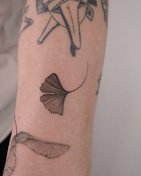 Paired ginkgo leaf for this cute couple from France 🥹❤️ It was nice to meet you guys! Gingko Branch Tattoo, Ginkgo Leaves Tattoo, Dainty Leaf Tattoo, Monstera Vine Tattoo, Ornamental Collar Bone Tattoo, Ginko Leaves Tattoos, Glamorous Tattoo, Ginko Leaf Tattoo, Gingko Leaves Tattoo