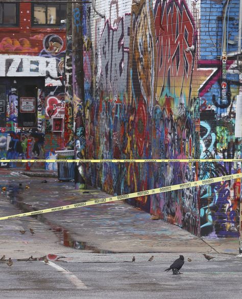 A group of birds look past caution tape to a graffiti alley in the Charles North neighborhood of Baltimore, MD.

#photography #photographer #photo #photooftheday #picoftheday #streetphotography #streetphotographer #streetart #graff #graffitiporn #ravens #baltimore #maryland #charmcity Group Of Birds, Graffiti Alley, Caution Tape, Urban Lifestyle, Baltimore Maryland, Street Photographers, Photographer Photo, Baltimore Md, Ravens