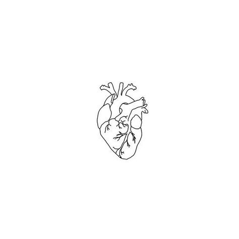 diseños para tatuajes, tatuajes en papel, dibujos, estilos de tatuajes, de mujer, femeninos, corazones, corazon, organo Moomin Tattoo, Anatomical Heart Tattoo, Herz Tattoo, Kunst Tattoos, Logo Instagram, Men Tattoos, Výtvarné Reference, Inspiration Tattoos, Seni 2d