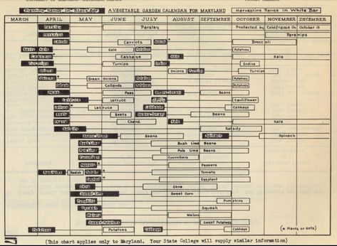 Victory Gardens, Grass Weeds, Things To Watch, Growing Greens, Victory Garden, Garden Calendar, Homesteading Skills, Garden Design Layout, Landscape Fabric