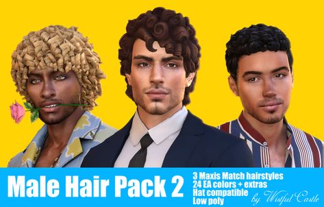 Male Hair Pack 2 | Wistful Castle on Patreon Male Hairline, Male Curly Hair, Sims 4 Curly Hair, Sims 4 Male, Male Sims, Sims 4 Mm Cc, Male Hair, Sims 4 Cc Skin, Tumblr Sims 4