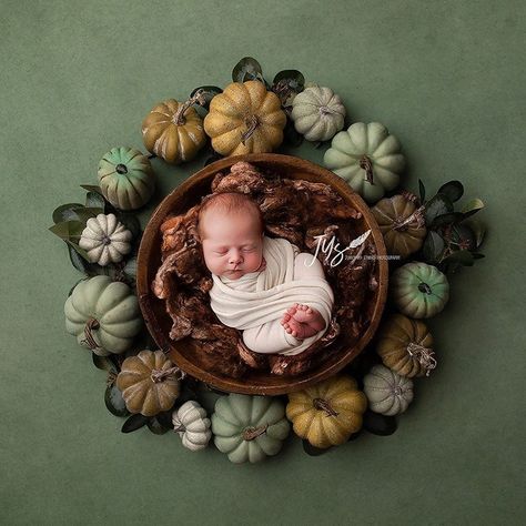 Halloween Newborn Pictures, Halloween Photoshoot Baby, Fall Newborn Pictures, Newborn Pictures Boy, Fall Newborn Photos, Natural Newborn, Newborn Photography Boy, Newborn Baby Photoshoot, Newborn Posing