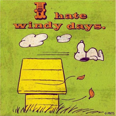 I hate windy days. 🌬 💨 Charles Shultz, Blowin' In The Wind, Snoopy Images, Peanuts Cartoon, Peanuts Characters, Snoopy Quotes, Snoop Dog, Joe Cool, The Peanuts