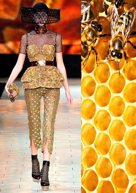 Alexander McQueen SPRING 2013 RTW  Honeycombs and Honey Bees Insect Inspired Dress, Bee Fashion Design, Honeycomb Costume, Bee Corset, Bee Inspired Outfit, Fashion Show Garments, Honeycomb Fashion, Fashion Inspired By Architecture, Insect Fashion