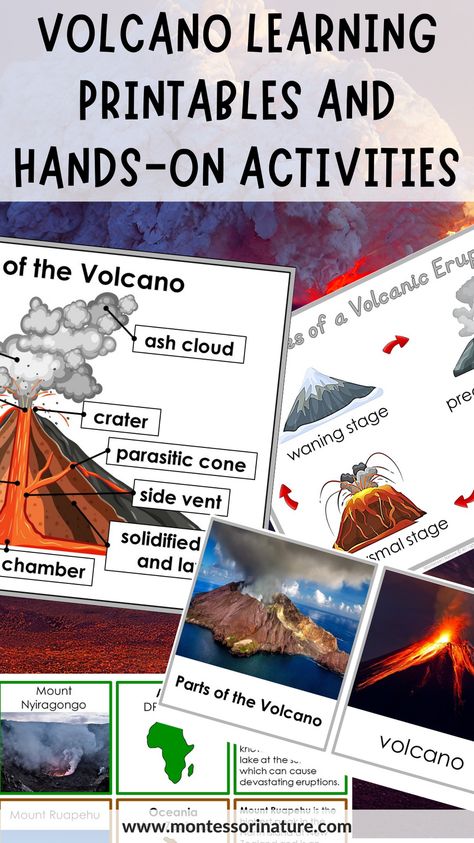 Introduce your young learners to the captivating world of volcanoes with these engaging Montessori volcano printables and hands-on science activities! Designed for preschool, kindergarten, and Grade 1 students, these resources include 3-part cards, information cards, student booklets, matching cards, and diagrams focused on the stages of volcanic eruption, types of volcanoes, and volcanoes of the continents. Volcano Learning Activities, Volcano Poster Project, Volcano Inquiry Kindergarten, Volcano Unit Study Kindergarten, Volcano Worksheet Preschool, Volcano Printable Free, Preschool Volcano Activities, Volcanos For Preschool, Volcano Lessons For Kids