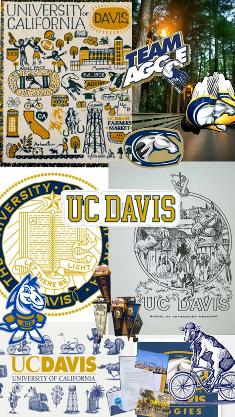 Uc Davis Aesthetic, Uc Davis, School Choice, Dorm Life, Dream College, Dream Board, Calculus, School Motivation, University