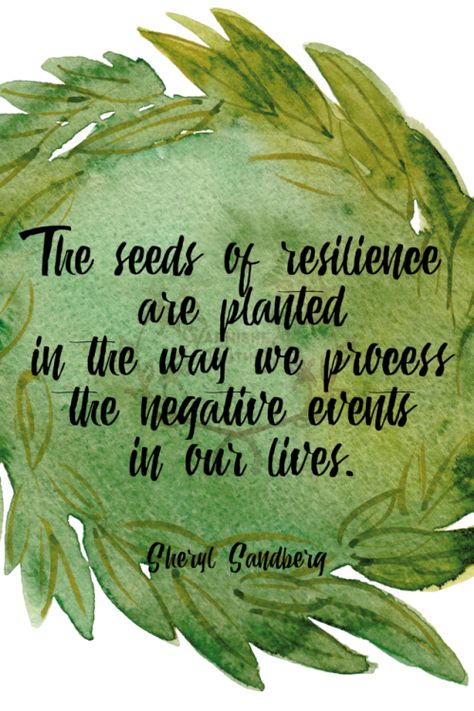 The seeds of resilience are planted in the way we process the negative events in our lives. Sheryl Sandberg   186/365  qotd 365project sheryl sandberg quote of the day quoteoftheday motivational quotes motivating quotes motivating words graphic design inspirational quotes inspiring quotes inspiration motivation seeds the seeds of resilience Sheryl Sandberg Quotes, Motivating Words, Resilience Quotes, Incredible Quote, Unforgettable Quotes, Sheryl Sandberg, Emotional Resilience, Good Night Messages, Yoga Quotes