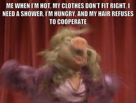 #memesdaily#memes #funnymemes #muppets #muppetsmeme #jokes #funnypics Muppet Memes Dark, Funny Muppets Memes, Muppet Memes Hilarious, Carol Meme, Muppet Meme, Muppets Quotes, Funny Muppets, Muppets Funny, Beaker Muppets