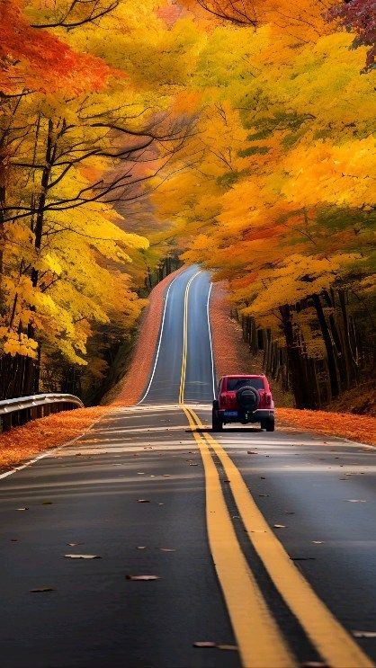 Let's find a good time and let's meet to take pictures of the autumn colors.🧡✨️ | Instagram Path To Heaven, Good Trip, 2023 Travel, Sky Gif, Beautiful Eyes Pics, Love Background Images, Abundance Affirmations, Autumn Scenery, Lifestyle Travel