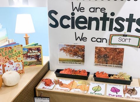 Seasons Centers Preschool, Fall Science Center Preschool, Fall Preschool Science, Preschool Science Area, Science Area Preschool, Fall Science Center, Fall Science Activities, Science Center Preschool, Prek Science