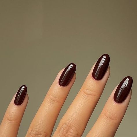 Glossy Nails, Uv Gel Nail Polish, September 22, Uv Gel, Gel Nail Polish, Top Coat, Gel Nail, Manicure, Nail Polish