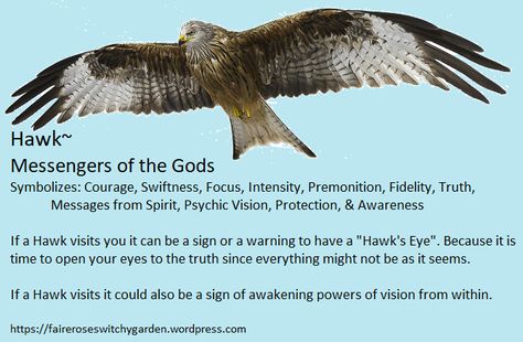 Hawk Meaning, Hawk Spirit Animal, Animal Totem Spirit Guides, Spirit Animal Meaning, Witchy Garden, Animal Meanings, Spirit Animal Totem, Animal Spirit Guide, Spiritual Animal