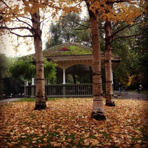 Early autumn in St Stephens Green, Dublin Dublin In Autumn, Dublin Autumn, Stephens Green Dublin, September Mood Board, September Mood, Saint Stephen, Aesthetic Winter, Early Autumn, Iphone Photos