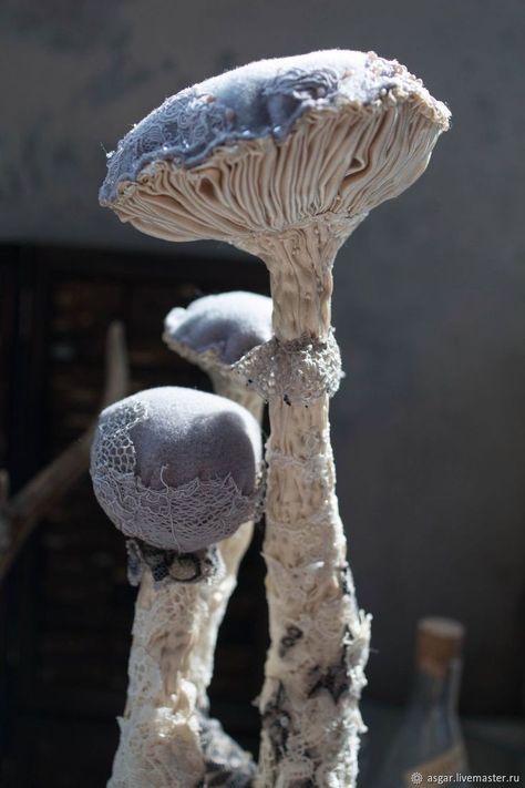 Art Mushrooms, Mister Finch, Mushroom Crafts, Textile Sculpture, Velvet Pumpkins, Creation Couture, Mushroom Art, Art Textile, Soft Sculpture