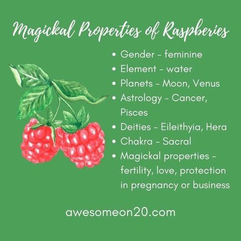 Raspberry Magical Properties, Raspberry Witchcraft, Raspberry Leaf Magical Properties, Raspberry Leaf Witchcraft, Grimoire Topics, Fruit Magic, Witchy Notebook, Kitchen Witchcraft, Kitchen Magick