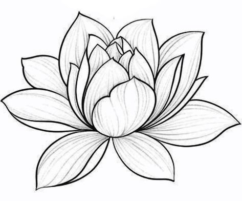 Lotus Flower Drawing, Lotus Drawing, Lotus Flower Painting, Lotus Tattoo Design, Lotus Flower Art, Frida Art, Flower Line Drawings, Rose Flower Pictures, Tattoo Templates