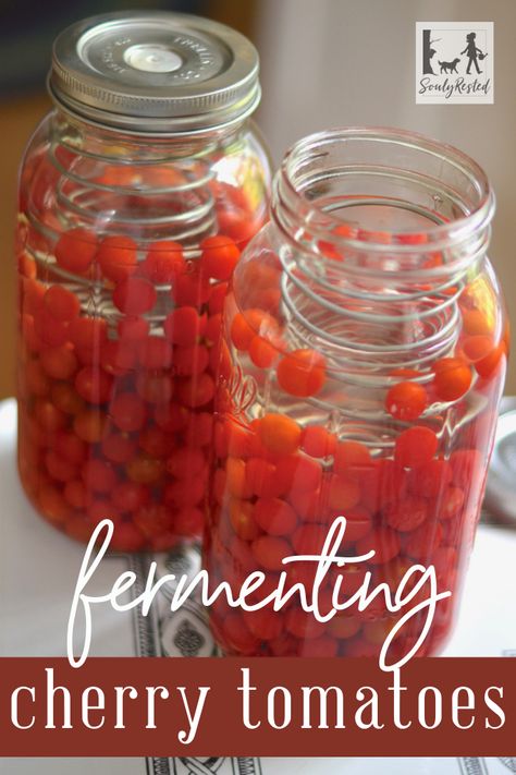 How to ferment cherry tomatoes » SoulyRested Fermented Tomatoes, Fermenting Vegetables, Lacto Fermentation, Tomato Harvest, Cherry Tomato Recipes, Fermented Veggies, Homemade Sauerkraut, Fermentation Recipes, Best Probiotic