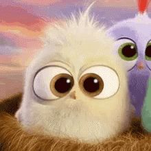 Love My Mommy Angry Bird GIF - LoveMyMommy AngryBird - Discover & Share GIFs Emoji Emotions, Birds Movie, Mothers Day Gif, Animiertes Gif, Angry Birds Movie, Bird Gif, Funny Happy Birthday, Funny Happy, Angry Birds