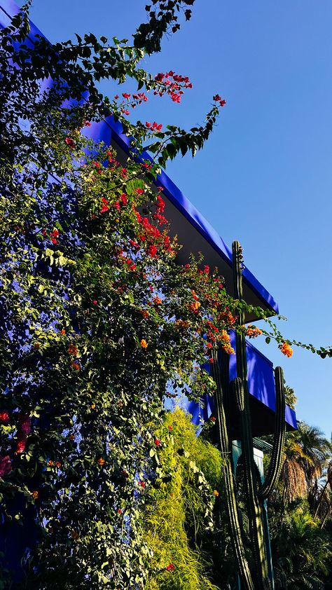 Arbres exotiques, couleurs vives, art et fontaines. Quatre mots, quatre images : le mythique Jardin de Majorelle 🌵⛲️

Retrouvez de nombreuses adresses à Marrakech, certaines connues et d’autres encore secrètes ! 

💙🌴💛 Lucerne, Marrakech, Morocco, Oasis, Lake, Art