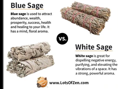 Sage In Witchcraft, Smudging Benefits, Benefits Of Burning Sage, Front Yard Landscape Design, Sage Uses, Sage Benefits, Green Community, Smudging Prayer, Beginners Garden