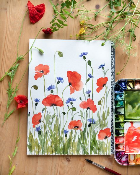 Drawings Of Poppies, Watercolour Poppies Simple, Poppy Flower Watercolor Painting, Watercolour Cornflower, Poppy Artwork, Wild Flower Painting, Red Floral Watercolor, Poppy Flower Painting, Poppies Art