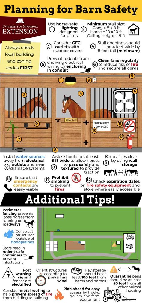 Horse Yard Layout, Small Horse Property Layout, Pole Barn Horse Barns, Horse Boarding Business, Small Horse Farm Layout, Horse Farm Layout With House, Horse Property Layout, Horse Paddock Ideas, Equine Property