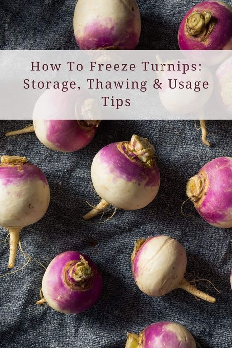 Have you ever wondered how to freeze turnips? We have all the answers to your questions about how to freeze turnips and everything you need to know about this root in this post! Freezing Turnip Greens, Turnip Canning Recipes, Freezing Turnips, How To Can Turnips, Freeze Turnips, Freezing Fresh Turnips, Canning Turnips, Storing Turnips, How To Use Turnips